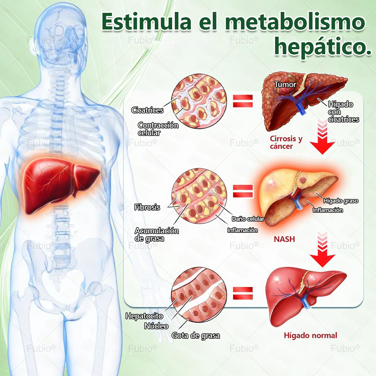 ¡𝑭𝒆𝒍𝒊𝒄𝒊𝒅𝒂𝒅𝒆𝒔! 𝑯𝒐𝒚 𝒆𝒓𝒆𝒔 𝒏𝒖𝒆𝒔𝒕𝒓𝒐 𝒄𝒍𝒊𝒆𝒏𝒕𝒆 𝒏ú𝒎𝒆𝒓𝒐 500 𝒚 𝒑𝒖𝒆𝒅𝒆𝒔 𝒅𝒊𝒔𝒇𝒓𝒖𝒕𝒂𝒓 𝒅𝒆 𝒖𝒏𝒂 𝒐𝒇𝒆𝒓𝒕𝒂 𝒆𝒔𝒑𝒆𝒄𝒊𝒂𝒍: 𝒖𝒏 𝒔𝒆𝒈𝒖𝒏𝒅𝒐 𝒑𝒓𝒐𝒅𝒖𝒄𝒕𝒐 𝒄𝒐𝒏 𝒖𝒏 30% 𝒅𝒆 𝒅𝒆𝒔𝒄𝒖𝒆𝒏𝒕𝒐 𝒆𝒏 . 𝑭𝒖𝒃𝒊𝒐®